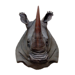 Rhino Head